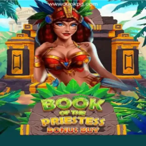 DUNKPG.COM Oficial 💯️ - O melhor cassino online do Brasil Player Community